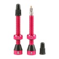 Wentyle TUBOLIGHT Pink Valves Pair 50mm .jpg