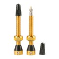 Wentyle TUBOLIGHT Gold Valves Pair 50mm.jpg
