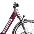 Rower elektryczny Rock Machine Crossride INT e450 Lady Touring Matte Crimson/Silver.png